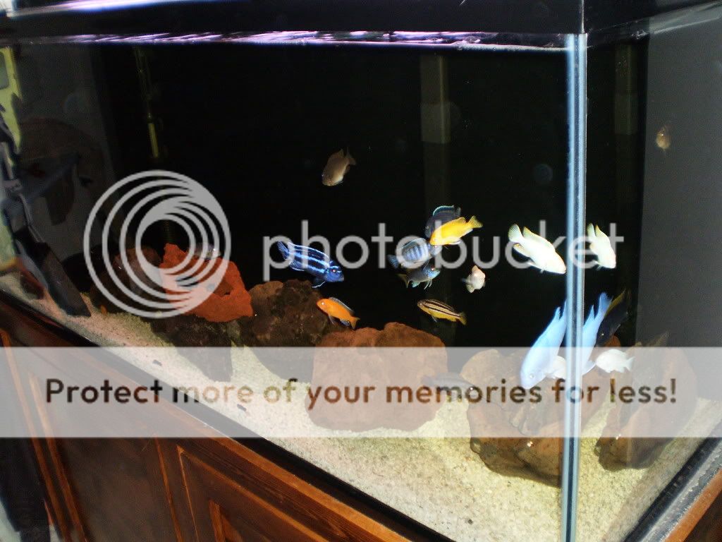 Fish048.jpg