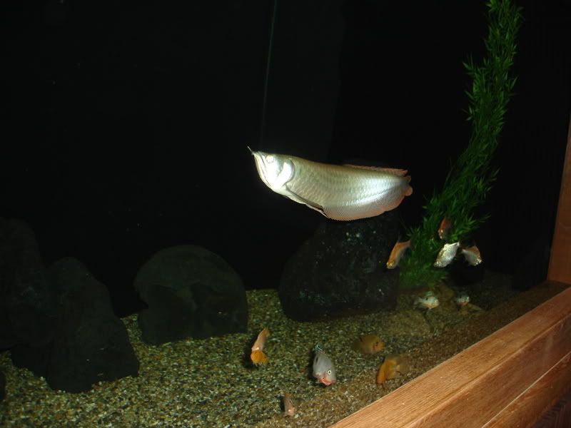 DSC02712.jpg