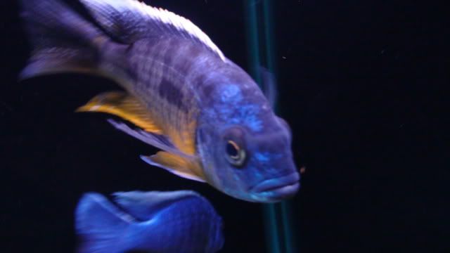 DSC01689.jpg