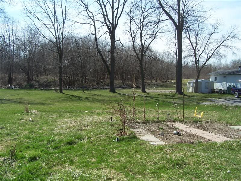 100_3279Medium.jpg