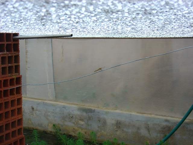 DSC05368.jpg