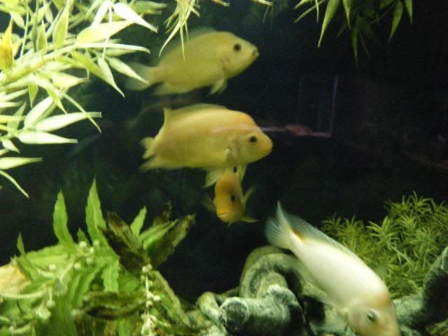 2-28-11395.jpg