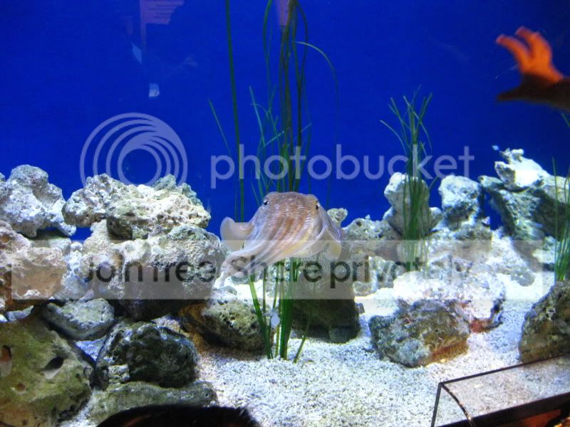 IMG_9650.jpg