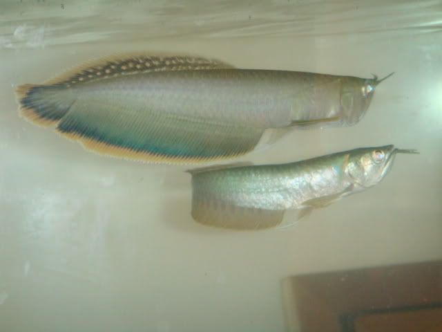 DSC01030.jpg