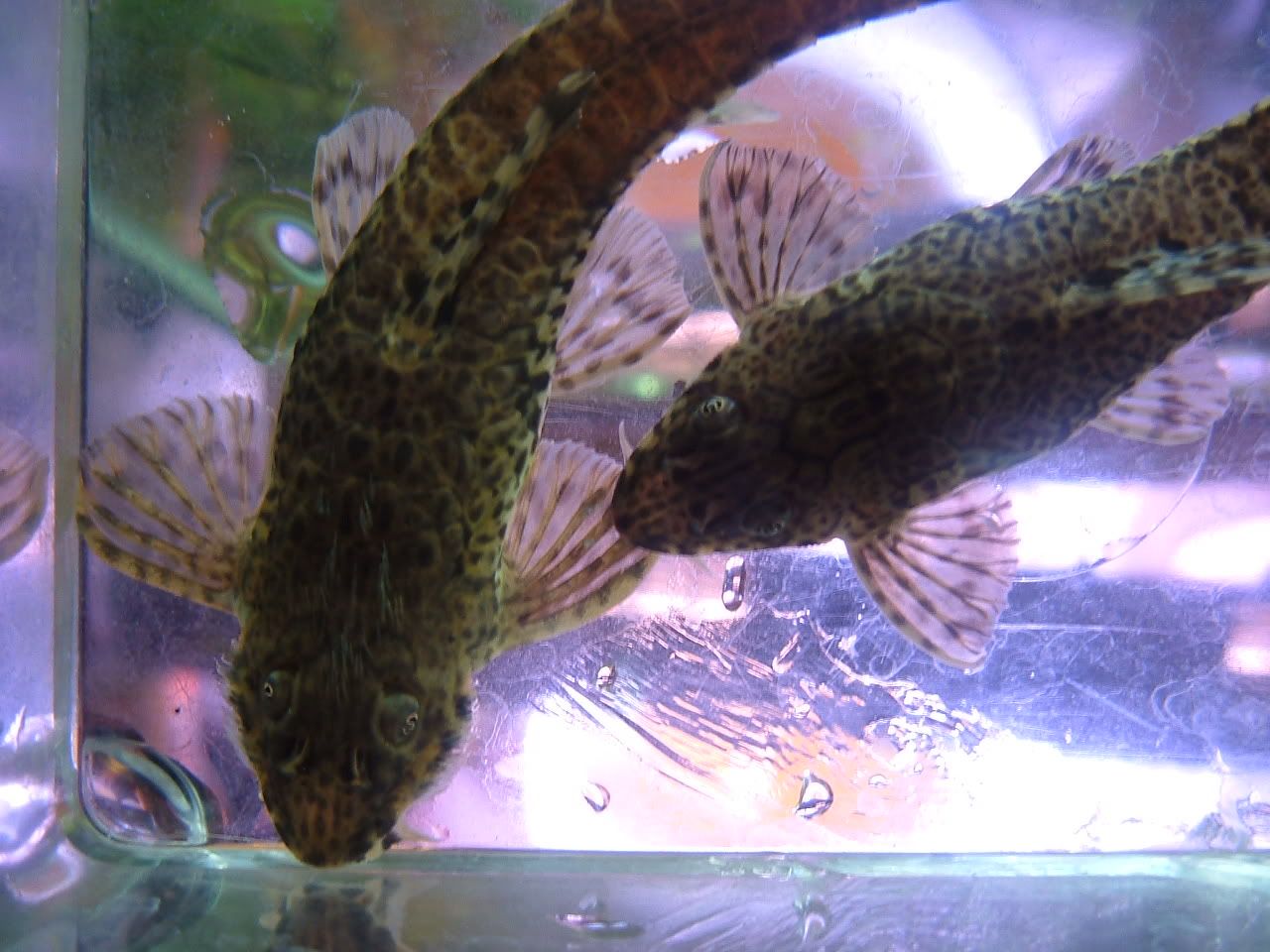 DSCF1073.jpg
