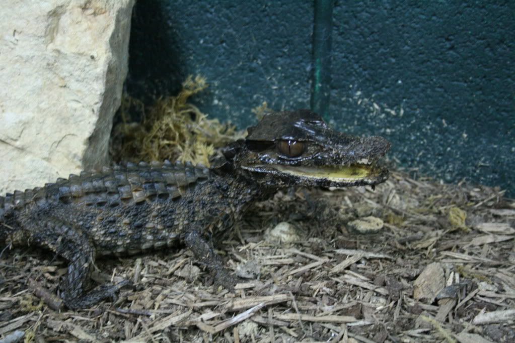 IMG_0726.jpg