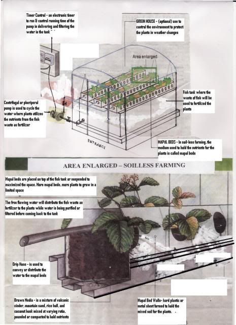 aquaponics1.jpg