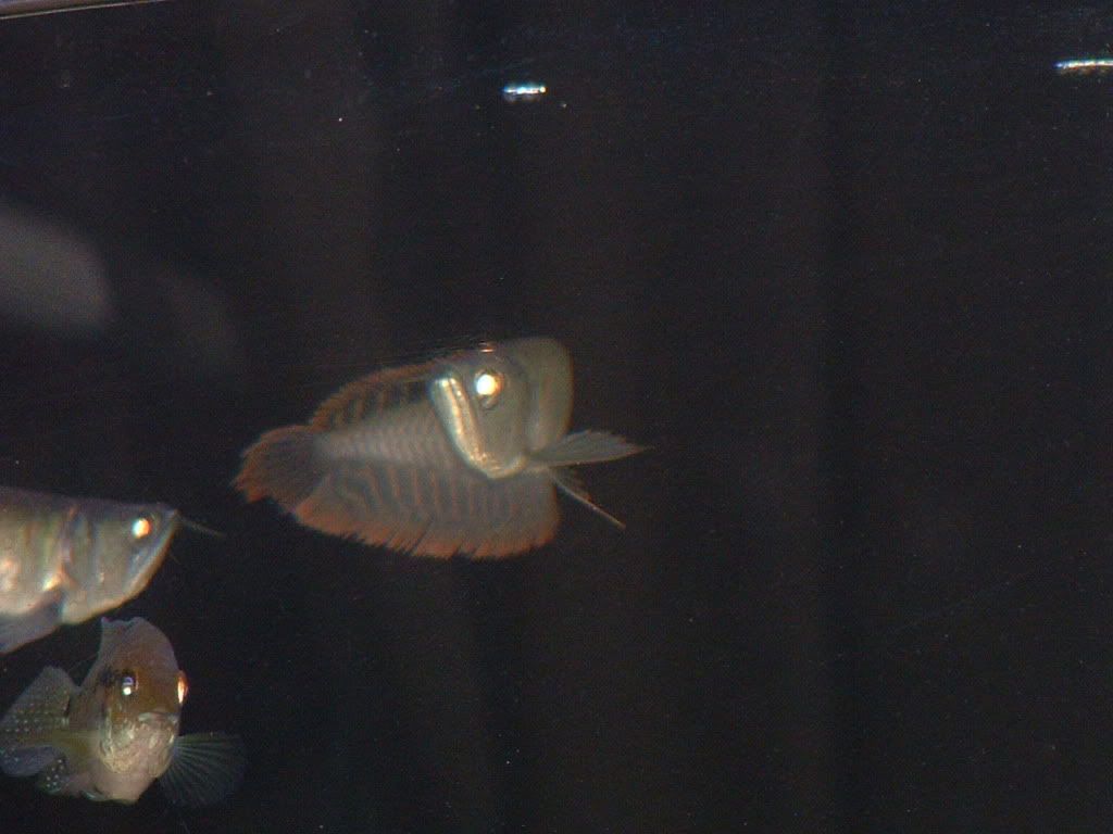 DSCF0067.jpg