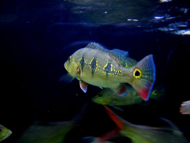 DSC07444.jpg