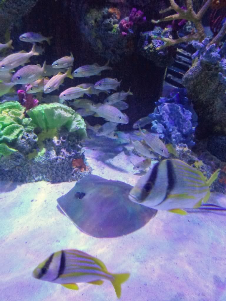 DSC01494.jpg