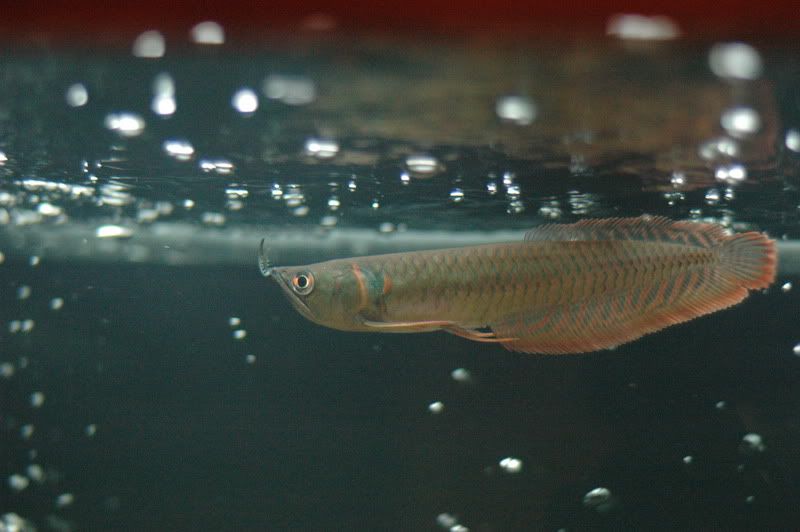 DSC_0766.jpg
