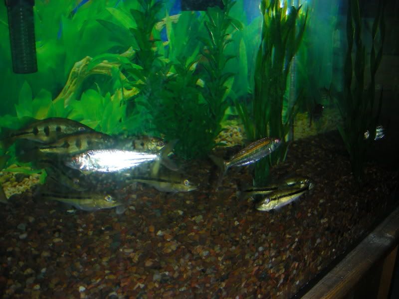 DSCN1514.jpg