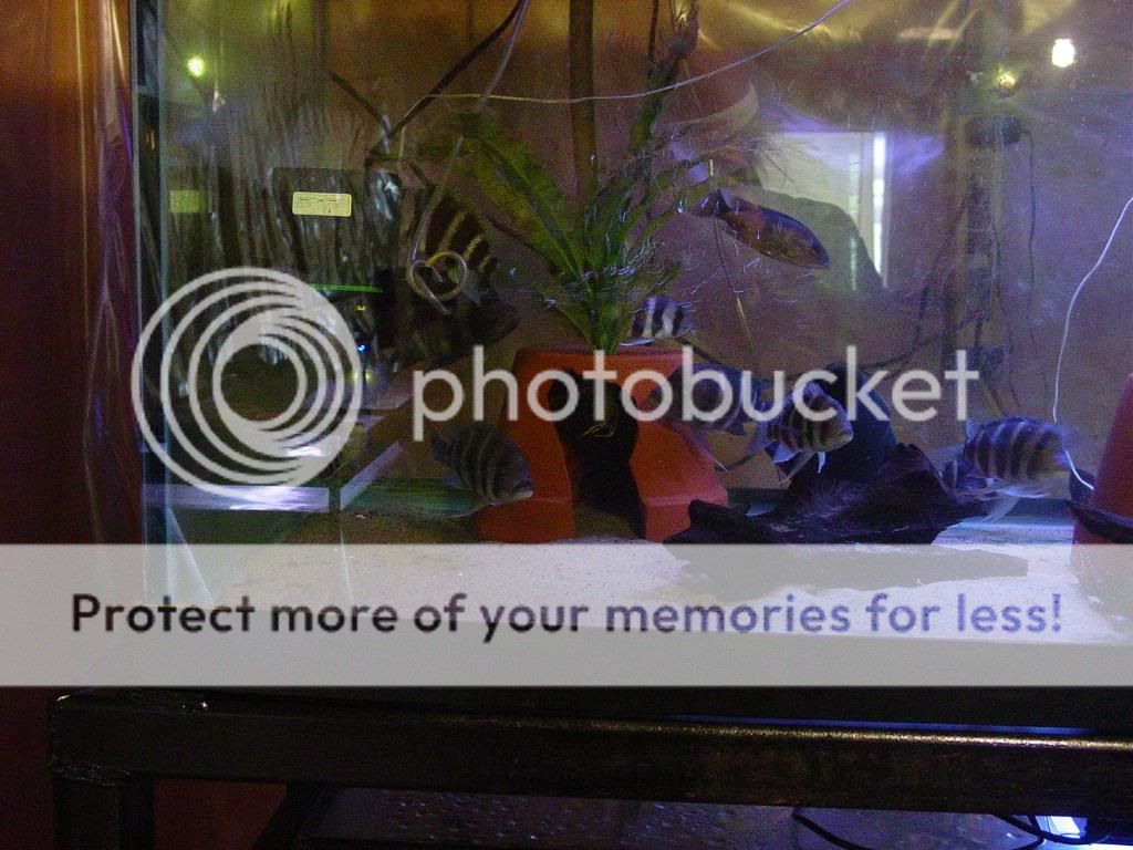 DSC07043.jpg
