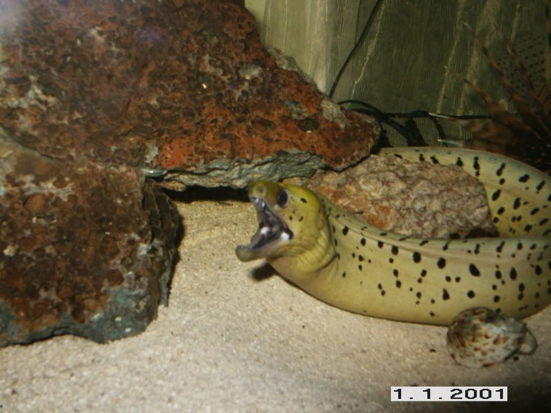 PICT9734.jpg