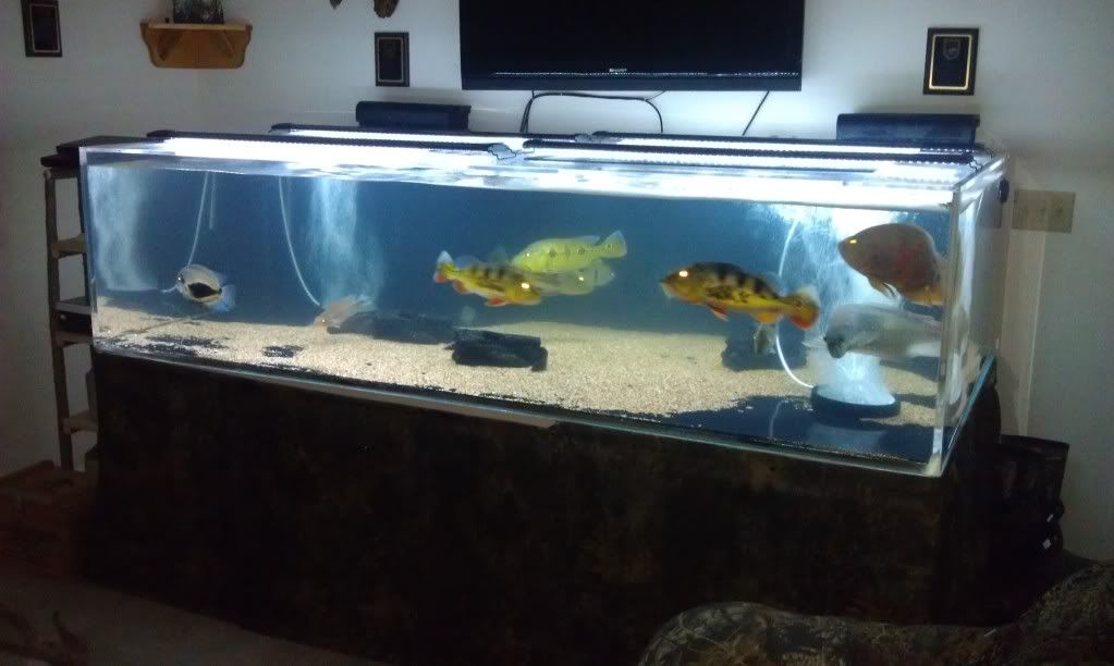 IMAG0558.jpg