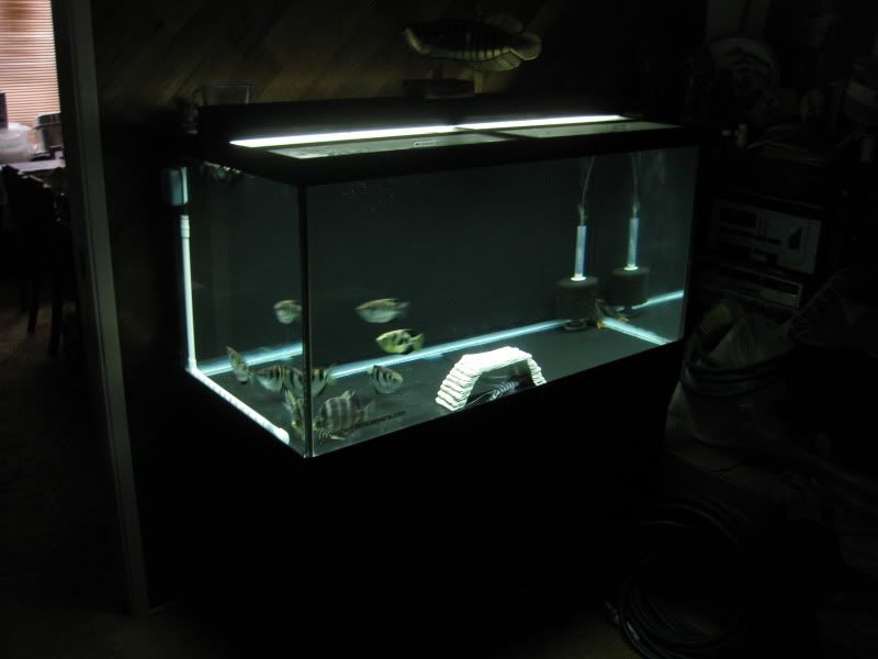 11-7-09038.jpg