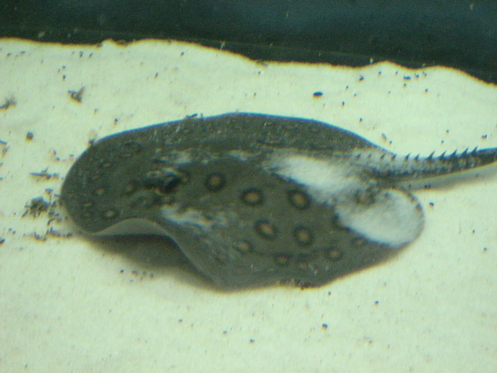 IMG_0893.jpg