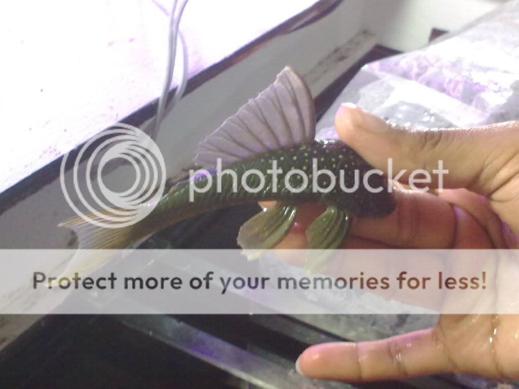 10062009183.jpg