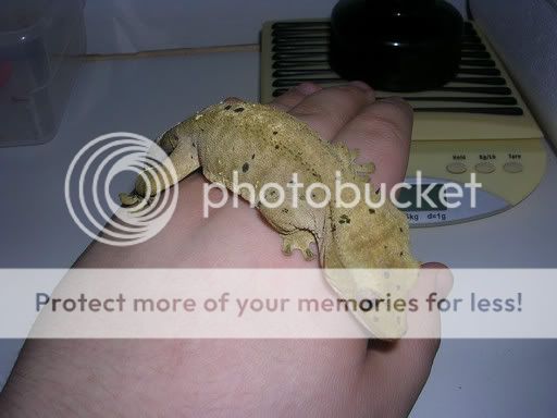 DSCN3075.jpg