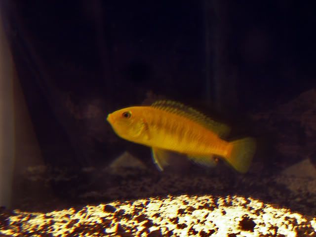 SNC12661.jpg