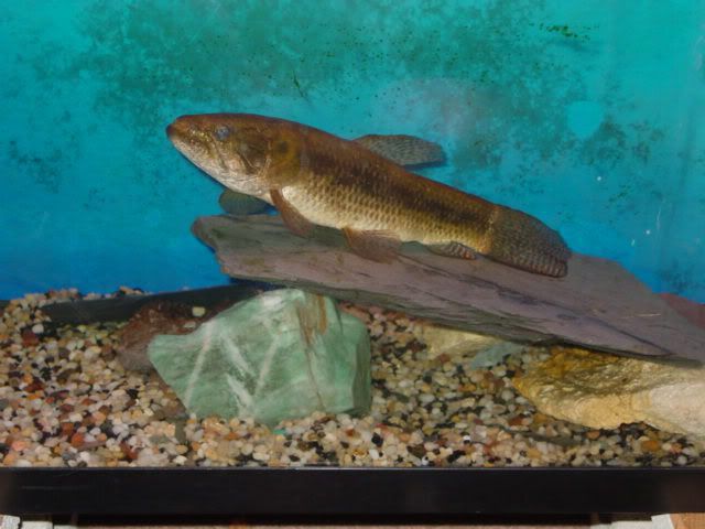 Dsc00648.jpg