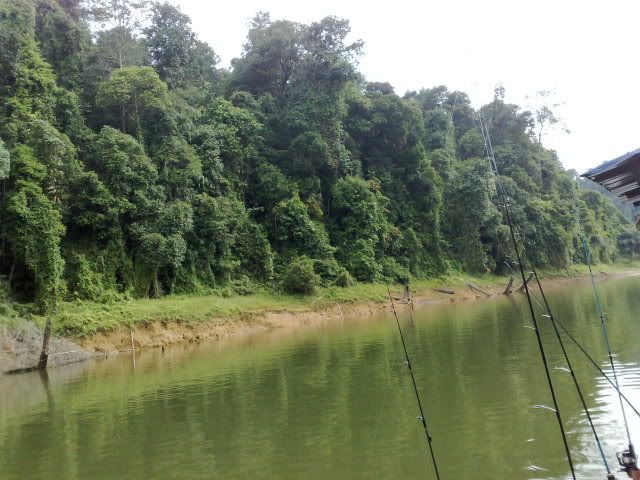 09082010874.jpg
