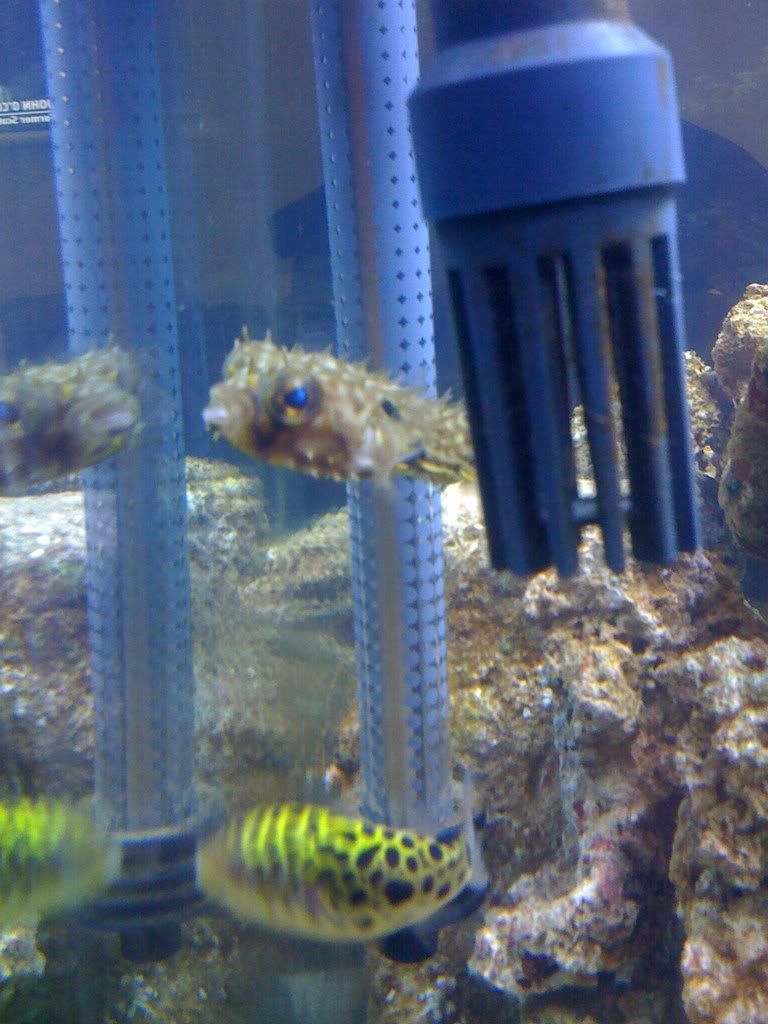 iphonepics081.jpg