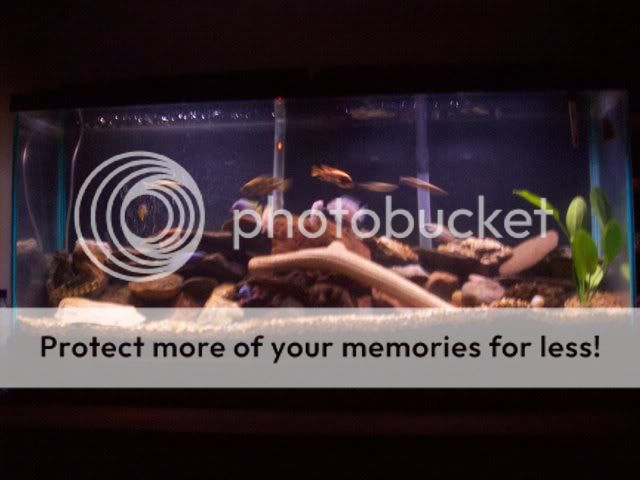 FishPics050.jpg