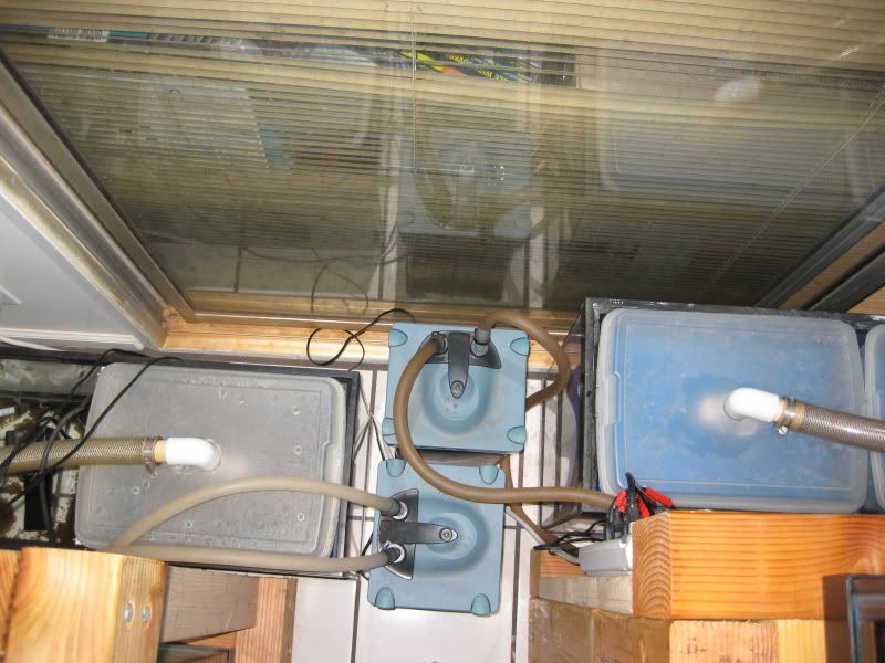 3-17-09044.jpg
