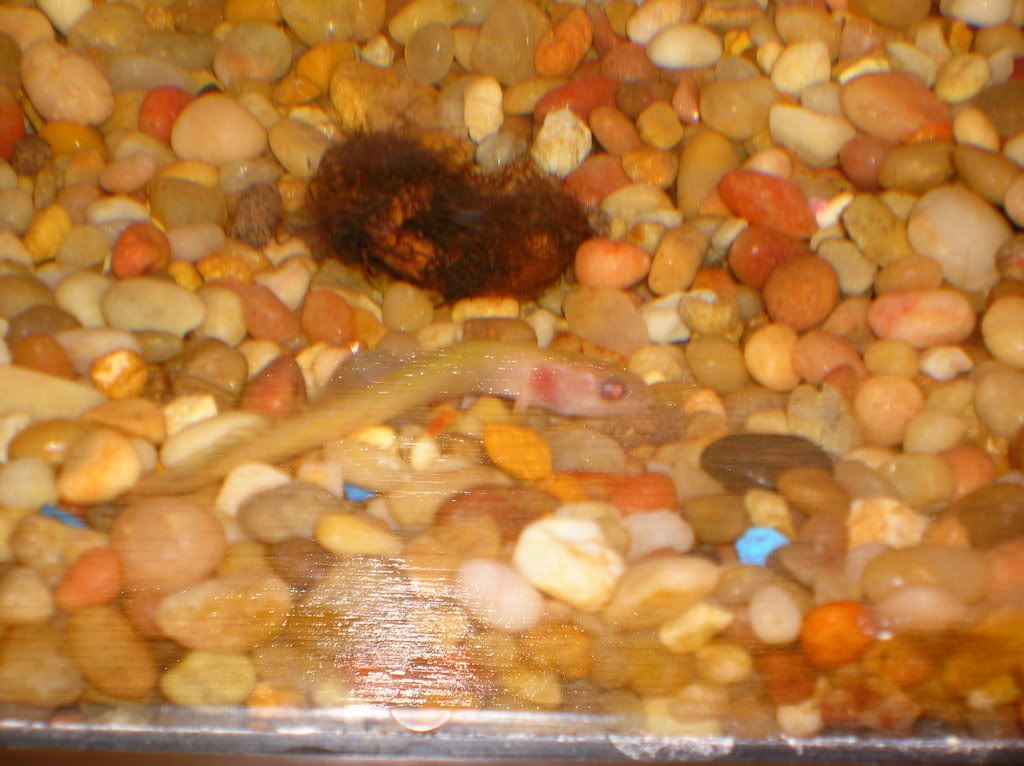 DSCN0464.jpg