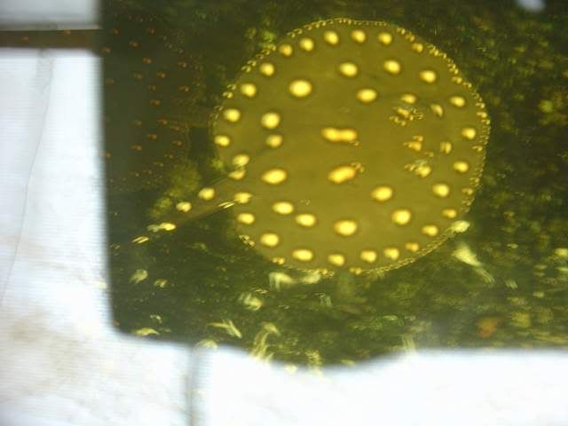DSC07599.jpg