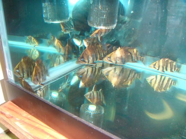 DSC01050.jpg
