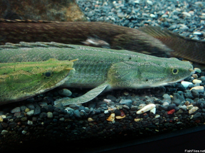 jyqyi4dk_DSC02062.JPG