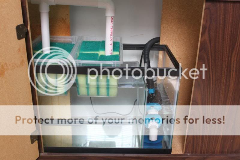 37gallontank005-1.jpg