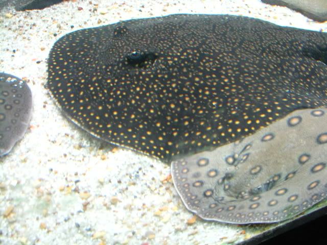 015-2.jpg