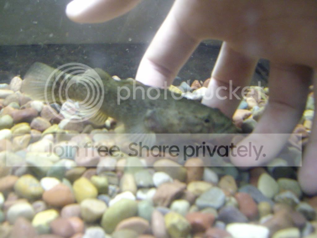 IMGP0166.jpg