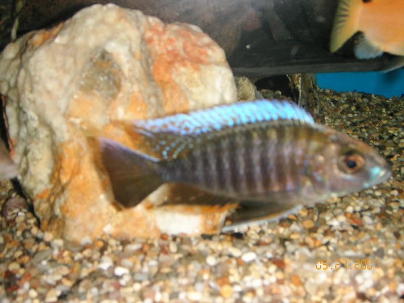 KIF_1113.jpg