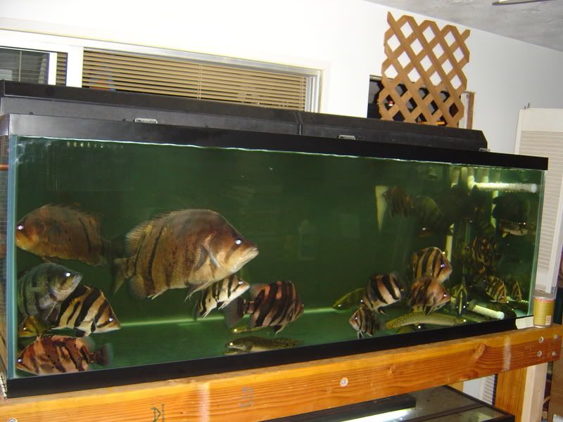 10-18-08027.jpg