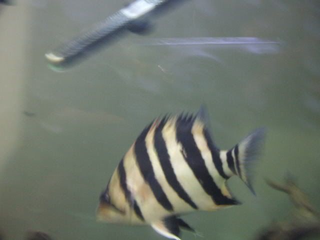 DSCF2334.jpg