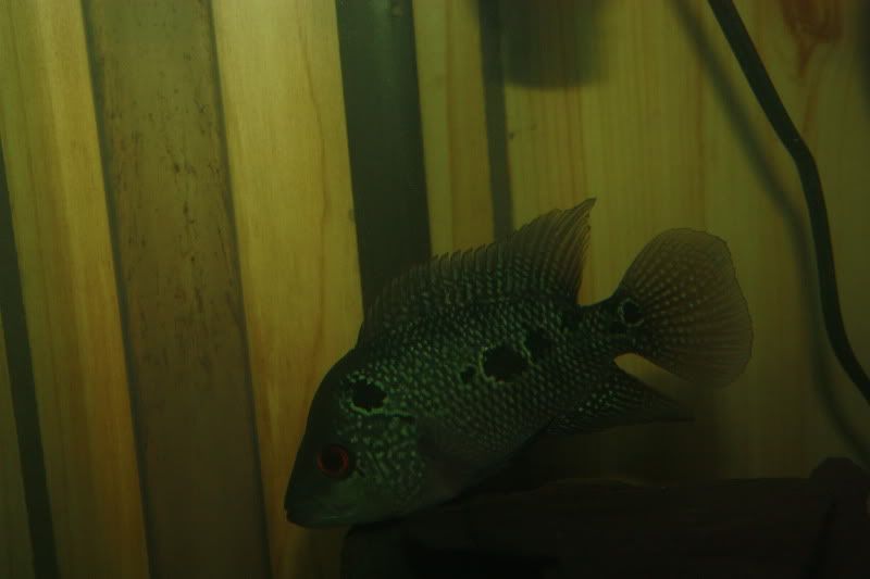 _MG_7615.jpg