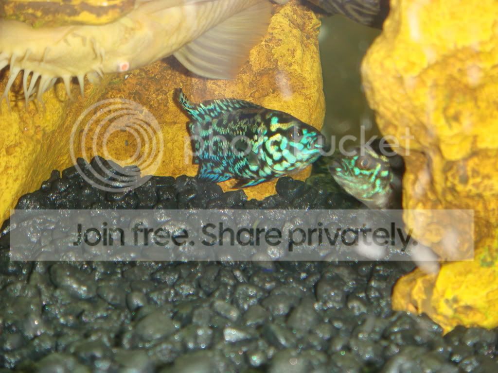DSC02931.jpg