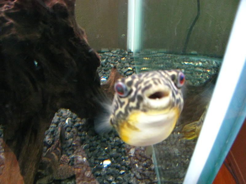Picture002.jpg
