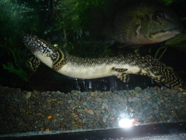 DSC00550.jpg