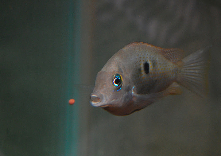 DSC_6782.jpg