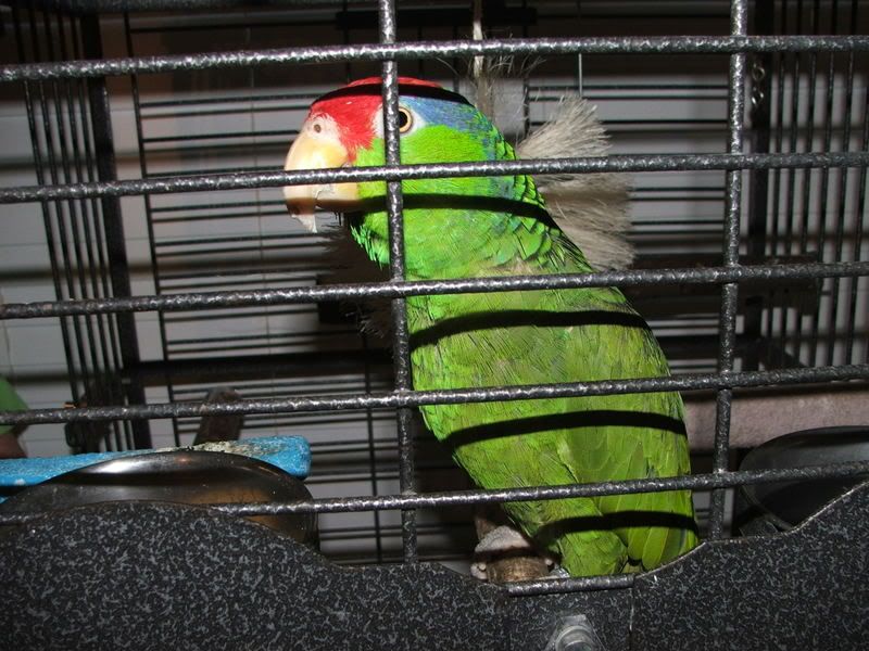 DSCF0904.jpg
