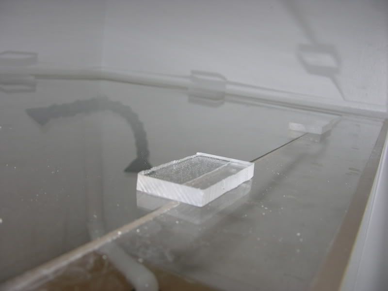 DSCN4613.jpg