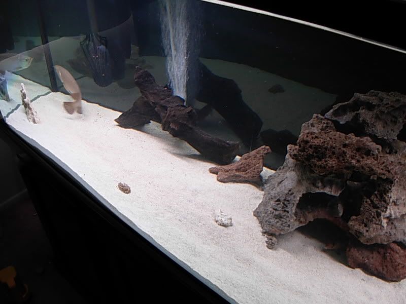 DSCN1310.jpg