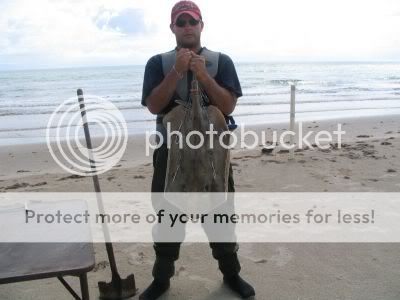 stingraybait.jpg