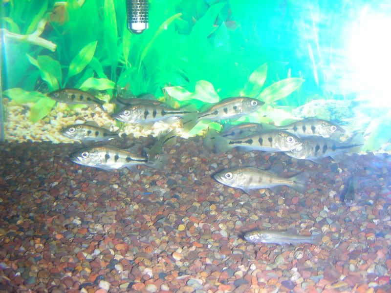 DSCN1418.jpg