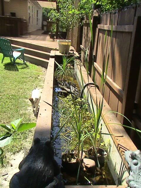 DSC02515.jpg